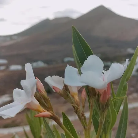 La Morreta Ii - Lanzarote تياس